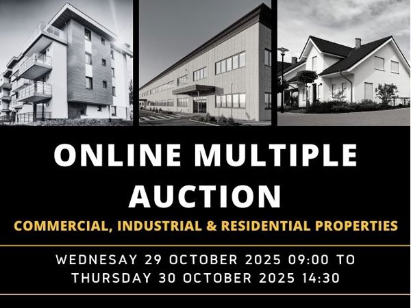ONLINE MULTIPLE AUCTION 29 & 30 OCTOBER 2025
